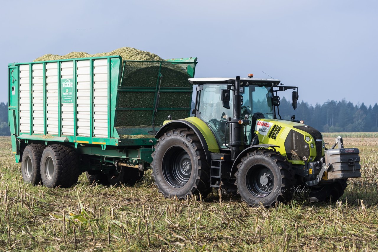 Bild 140 - Maisernte